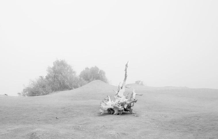 La Galería Saro León lleva a Seúl el proyecto fotográfico ‘Brisas del Atlántico’